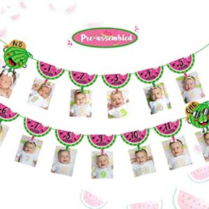 One in a Melon Photo Banner Watermelon 12 Month Photo Prop for First Birthday Party Bunting Decor Summer Fruit Party for Baby Girl