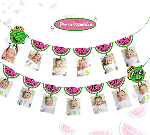 One in a Melon Photo Banner Watermelon 12 Month Photo Prop for First Birthday Party Bunting Decor Summer Fruit Party for Baby Girl