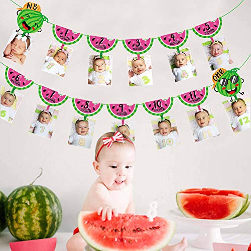 One in a Melon Photo Banner Watermelon 12 Month Photo Prop for First Birthday Party Bunting Decor Summer Fruit Party for Baby Girl