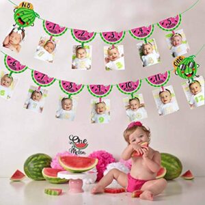 One in a Melon Photo Banner Watermelon 12 Month Photo Prop for First Birthday Party Bunting Decor Summer Fruit Party for Baby Girl