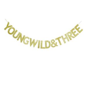 Young Wild & Three Banner, Vintage Gold Glitter Sign for Kids' 3rd Birthday Party Bunting Decorations