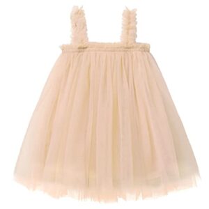 Girls Tutu Flower Girl Dress Tulle Dress Baby Outfit Toddler Christmas Baby Dress, 18-24 Months Champagne