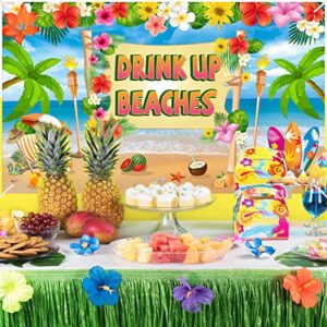 Yoaokiy Beach Theme Party Decorations Drink Up Beaches Banner Backdrop, Hawaii Party Luau Summer Party Background Sign Decor, Tropical Bachelorette Poster Party Supplies