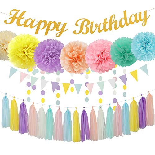 Pastel Rainbow Birthday Party Decorations - 30pcs Tissue Pom Poms Streamers,Garland Backdrop Decor Bunting Children Adults 1st 16th 18th 25th 30th 40th 50th Happy Birthday Banner Panduola