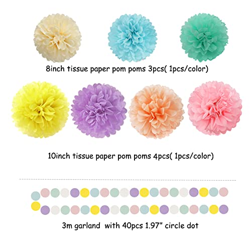 Pastel Rainbow Birthday Party Decorations - 30pcs Tissue Pom Poms Streamers,Garland Backdrop Decor Bunting Children Adults 1st 16th 18th 25th 30th 40th 50th Happy Birthday Banner Panduola