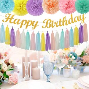 Pastel Rainbow Birthday Party Decorations - 30pcs Tissue Pom Poms Streamers,Garland Backdrop Decor Bunting Children Adults 1st 16th 18th 25th 30th 40th 50th Happy Birthday Banner Panduola