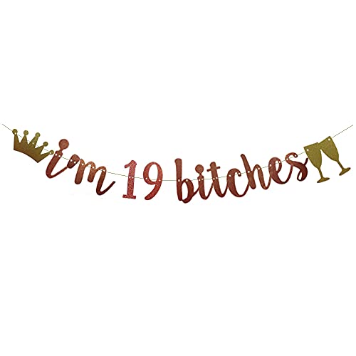 I'm 19 Bitches Banner,Pre-Strung, Rose Gold Glitter Paper Funny Party Decorations for 19th Birthday Party Supplies Happy 19th Birthday Cheers to 19 Years Letters Rose Gold Betteryanzi