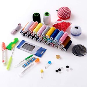 TINTON LIFE Professional Sewing Kits with Box Sewing Accessories Supplies Kits for Adults Kids Beginner Travel Sewing Basket