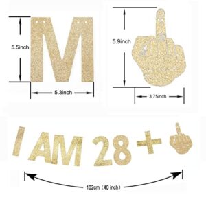 Morndew Gold Gliter I AM 28+1 Paper Banner for 29th Birthday Party Sign Backdrops Funny/Gag 29 Bday Party Wedding Anniversary Celebration Party Retirement Party Decorations
