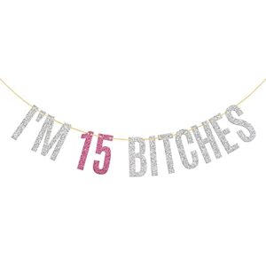 Glitter I'm 15 Bitches Banner Happy 15th Birthday Banner Happy 15th Anniversary Girl’s 15th Birthday Party Decorations Silver & Pink