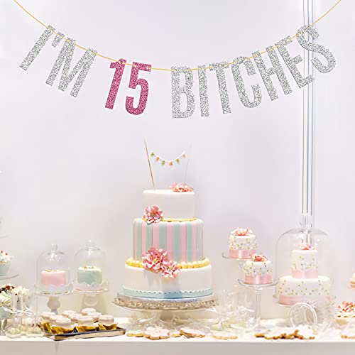 Glitter I'm 15 Bitches Banner Happy 15th Birthday Banner Happy 15th Anniversary Girl’s 15th Birthday Party Decorations Silver & Pink