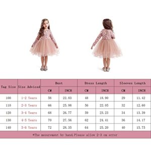 HNXDYY Baby Girl Long Sleeves Girls Dress Kids Birthday Party Tutu Princess Dresses Pink_424 3-4 Years