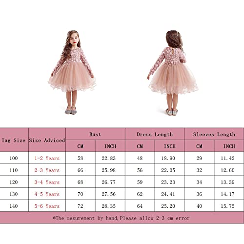 HNXDYY Baby Girl Long Sleeves Girls Dress Kids Birthday Party Tutu Princess Dresses Pink_424 3-4 Years