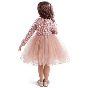 HNXDYY Baby Girl Long Sleeves Girls Dress Kids Birthday Party Tutu Princess Dresses Pink_424 3-4 Years