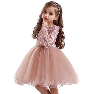 HNXDYY Baby Girl Long Sleeves Girls Dress Kids Birthday Party Tutu Princess Dresses Pink_424 3-4 Years