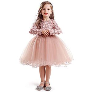 HNXDYY Baby Girl Long Sleeves Girls Dress Kids Birthday Party Tutu Princess Dresses Pink_424 3-4 Years