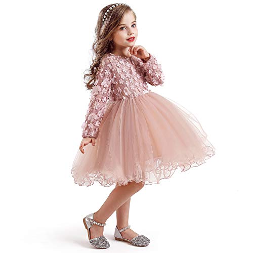 HNXDYY Baby Girl Long Sleeves Girls Dress Kids Birthday Party Tutu Princess Dresses Pink_424 3-4 Years