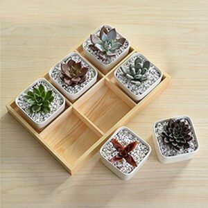 Rustic Compartments Wooden Divided Boxes Succulents Flower Pot Desktop Storage Box Holder Home Balcony Organizer, Wood Display Tray for Crafts, Jewelry, Ornaments (6 grids)