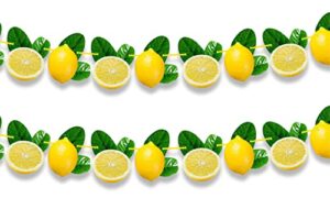 seyal® lemon garland decoration