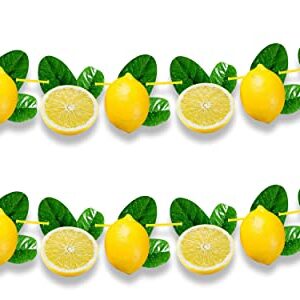 Seyal® Lemon Garland Decoration