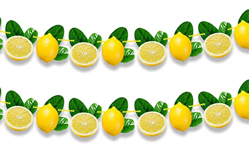 Seyal® Lemon Garland Decoration