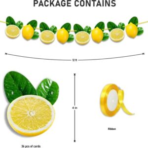 Seyal® Lemon Garland Decoration