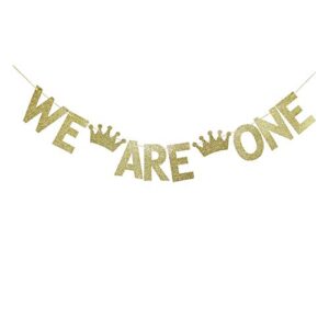 we are one banner for baby twins’ first birthday party sign decorations, twins’ 1st birthday party supplies