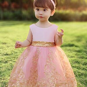 Flower Girl Dress 3-6 M Month Sleeveless Lace Embroidery Special Occasion Dress Ruffles Wedding Birthday Dresses Dressy Up Fancy Tulle Tutu Ball Gown for Infant Party Knee Sundress (8557Pink, 60)