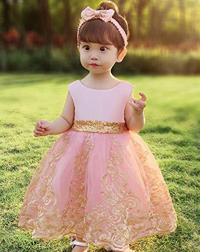 Flower Girl Dress 3-6 M Month Sleeveless Lace Embroidery Special Occasion Dress Ruffles Wedding Birthday Dresses Dressy Up Fancy Tulle Tutu Ball Gown for Infant Party Knee Sundress (8557Pink, 60)