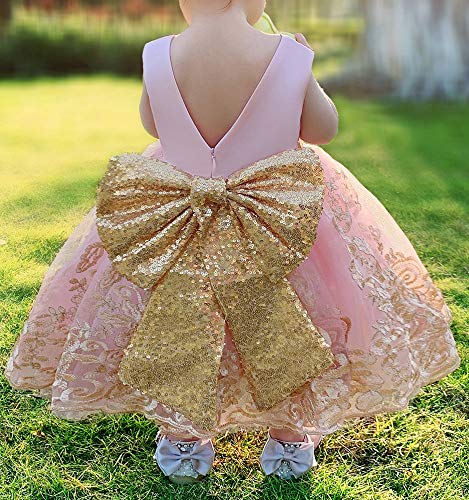 Flower Girl Dress 3-6 M Month Sleeveless Lace Embroidery Special Occasion Dress Ruffles Wedding Birthday Dresses Dressy Up Fancy Tulle Tutu Ball Gown for Infant Party Knee Sundress (8557Pink, 60)