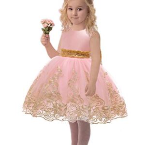 Flower Girl Dress 3-6 M Month Sleeveless Lace Embroidery Special Occasion Dress Ruffles Wedding Birthday Dresses Dressy Up Fancy Tulle Tutu Ball Gown for Infant Party Knee Sundress (8557Pink, 60)