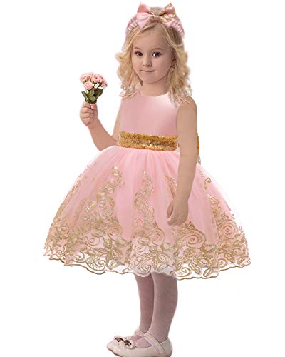 Flower Girl Dress 3-6 M Month Sleeveless Lace Embroidery Special Occasion Dress Ruffles Wedding Birthday Dresses Dressy Up Fancy Tulle Tutu Ball Gown for Infant Party Knee Sundress (8557Pink, 60)