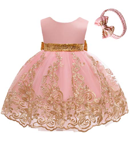 Flower Girl Dress 3-6 M Month Sleeveless Lace Embroidery Special Occasion Dress Ruffles Wedding Birthday Dresses Dressy Up Fancy Tulle Tutu Ball Gown for Infant Party Knee Sundress (8557Pink, 60)