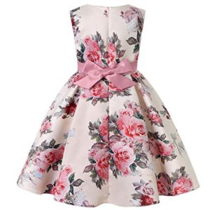 NSSMWTTC Flowers Girls Wedding Dresses Toddler Christmas Toddler Floral Printed Party Dress Size 3T(Cameo Brown,100)