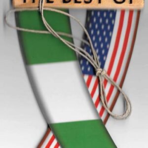 NIGERIA AND USA NIGERIAN AMERICAN WEST AFRICAN REARVIEW MIRROR MINI BANNER HANGING FLAGS FOR THE CAR UNITY FLAGZ™..