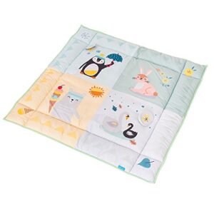 Taf Toys North Pole Four Seasons Play Mat