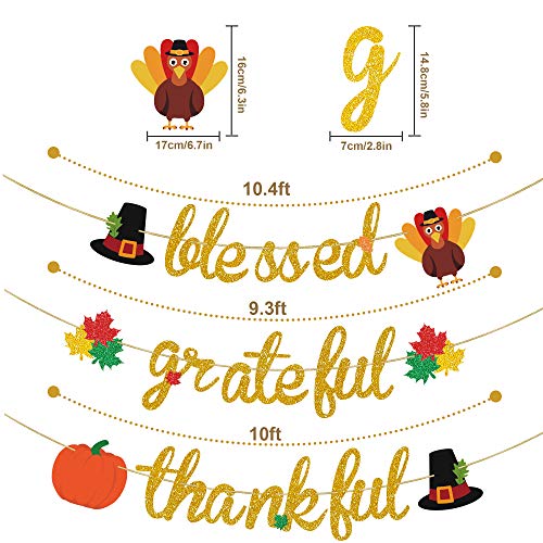 Blessed Thankful Grateful Banner for Thanksgiving Decor, Thanksgiving Banner, Maple Leaves Pumpkin Turkey Bunting Garland for Mantel Fireplace , Thanksgiving Party Home Office Classroom Hanging Decor