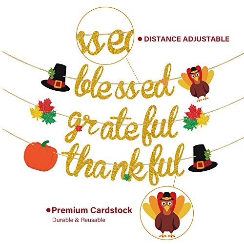 Blessed Thankful Grateful Banner for Thanksgiving Decor, Thanksgiving Banner, Maple Leaves Pumpkin Turkey Bunting Garland for Mantel Fireplace , Thanksgiving Party Home Office Classroom Hanging Decor