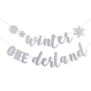 Winter Onederland Snowflake Banner - Winter/snowflake 1st Birthday,winter Party Decorations,silver Snowflake Banner,winter Onederland Birthday Sign