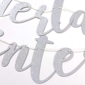 Winter Onederland Snowflake Banner - Winter/snowflake 1st Birthday,winter Party Decorations,silver Snowflake Banner,winter Onederland Birthday Sign