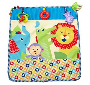 fisher-price on-the-go activity throw