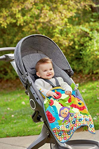 Fisher-Price On-the-Go Activity Throw