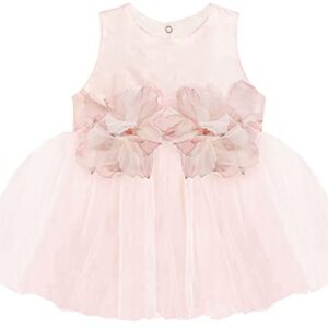 Lilax Baby Girl Tulle Dress Gown Pageant 3 Piece Party Wedding Dress (6-9 Months, Pink)