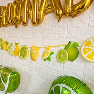 Lemonade Party Decoration Lemonade Foil Latex Balloons Banner,Lemonade Garland Decoration for Summer Lemonade Party