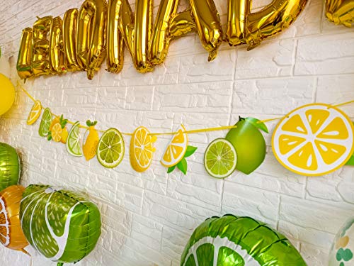 Lemonade Party Decoration Lemonade Foil Latex Balloons Banner,Lemonade Garland Decoration for Summer Lemonade Party