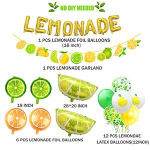 Lemonade Party Decoration Lemonade Foil Latex Balloons Banner,Lemonade Garland Decoration for Summer Lemonade Party