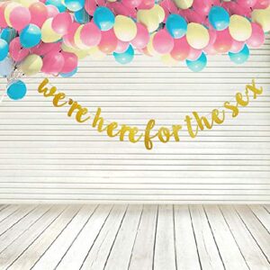 We're Here for The Sex Banner, Gender Reveal Party Supplies, Baby Shower Party Decorations