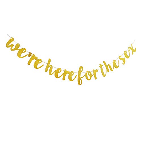 We're Here for The Sex Banner, Gender Reveal Party Supplies, Baby Shower Party Decorations