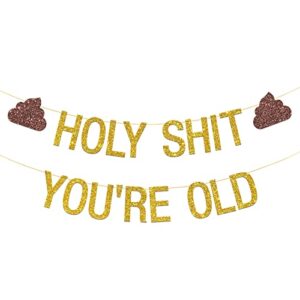 roadsea holy shit you’re old banner – funny birthday party garland supplies for adult – 30th 40th 50th 60th 70th 80th birthday party decorations – gold glitter