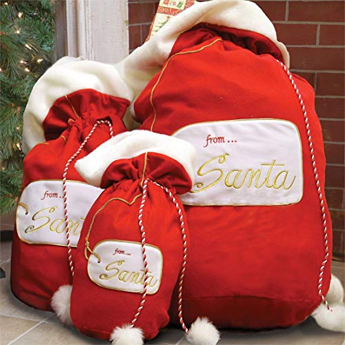 DEI from Santa Gift Bag, 13" X 29", Multicolored